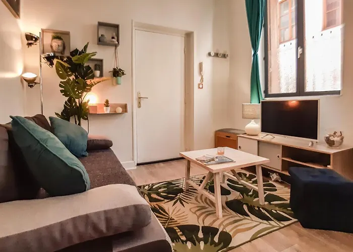 Appartement Cosy'appart - La Rose Rouen